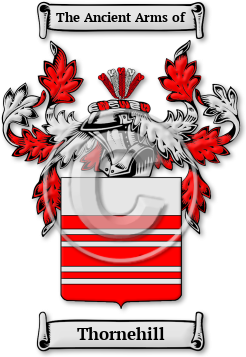 Thornehill Family Crest Download (jpg) Legacy Series - 150 DPI
