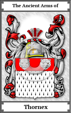 Thornex Family Crest Download (JPG)  Book Plated - 150 DPI