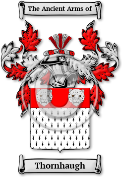 Thornhaugh Family Crest Download (jpg) Legacy Series - 150 DPI