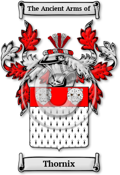 Thornix Family Crest Download (JPG) Legacy Series - 300 DPI