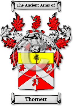 Thornett Family Crest Download (jpg) Legacy Series - 150 DPI