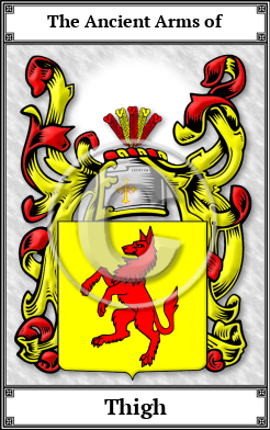 Thigh Family Crest Download (JPG) Book Plated - 600 DPI