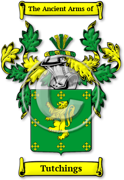 Tutchings Family Crest Download (jpg) Legacy Series - 150 DPI