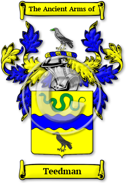 Teedman Family Crest Download (jpg) Legacy Series - 150 DPI