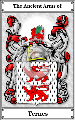 Ternes Family Crest Download (JPG)  Book Plated - 150 DPI