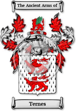 Ternes Family Crest Download (jpg) Legacy Series - 150 DPI
