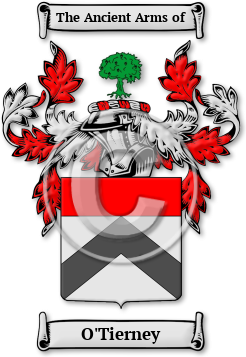 O'Tierney Family Crest Download (jpg) Legacy Series - 150 DPI