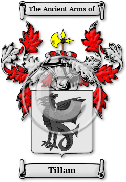 Tillam Family Crest Download (jpg) Legacy Series - 150 DPI