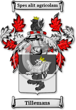 Tillemans Family Crest Download (jpg) Legacy Series - 150 DPI