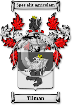 Tilman Family Crest Download (jpg) Legacy Series - 150 DPI