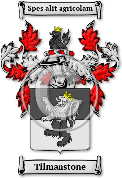 Tilmanstone Family Crest Download (JPG) Legacy Series - 600 DPI