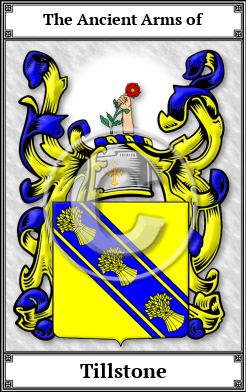 Tillstone Family Crest Download (JPG)  Book Plated - 150 DPI