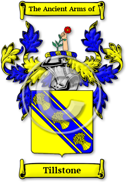 Tillstone Family Crest Download (jpg) Legacy Series - 150 DPI