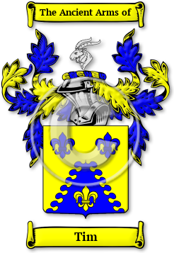 Tim Family Crest Download (jpg) Legacy Series - 150 DPI