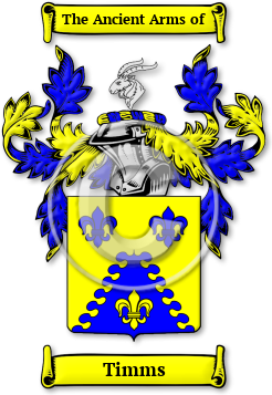 Timms Family Crest Download (JPG) Legacy Series - 300 DPI