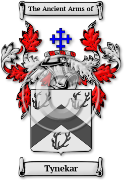 Tynekar Family Crest Download (jpg) Legacy Series - 150 DPI