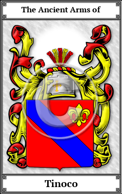 Tinoco Family Crest Download (JPG)  Book Plated - 150 DPI