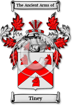 Tiney Family Crest Download (JPG) Legacy Series - 600 DPI