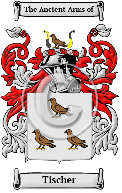 Tischer Family Crest Download (JPG) Heritage Series - 600 DPI