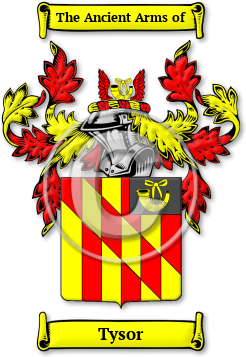 Tysor Family Crest Download (jpg) Legacy Series - 150 DPI