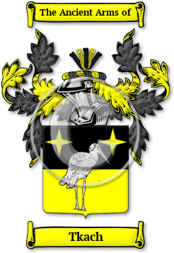 Tkach Family Crest Download (jpg) Legacy Series - 150 DPI