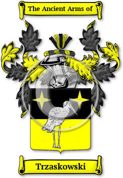 Trzaskowski Family Crest Download (jpg) Legacy Series - 150 DPI