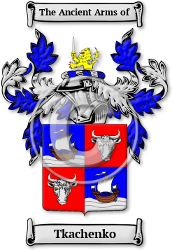 Tkachenko Family Crest Download (jpg) Legacy Series - 150 DPI