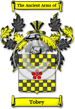 Tobey Family Crest Download (JPG) Legacy Series - 600 DPI