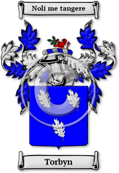 Torbyn Family Crest Download (jpg) Legacy Series - 150 DPI
