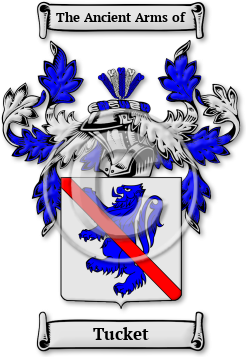 Tucket Family Crest Download (JPG) Legacy Series - 600 DPI