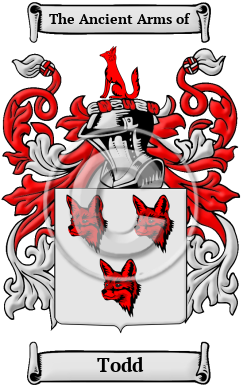 Todd Family Crest Download (JPG) Heritage Series - 600 DPI