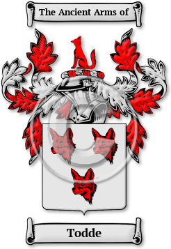 Todde Family Crest Download (jpg) Legacy Series - 150 DPI