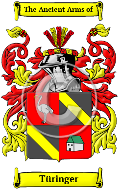 Türinger Family Crest Download (JPG) Heritage Series - 600 DPI