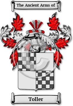 Toller Family Crest Download (jpg) Legacy Series - 150 DPI
