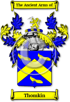 Thomkin Family Crest Download (jpg) Legacy Series - 150 DPI