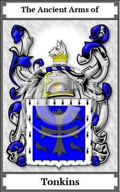 Tonkins Family Crest Download (JPG) Book Plated - 600 DPI