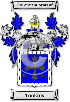 Tonkins Family Crest Download (JPG) Legacy Series - 600 DPI
