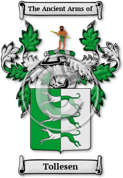Tollesen Family Crest Download (jpg) Legacy Series - 150 DPI