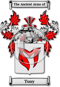 Tony Family Crest Download (jpg) Legacy Series - 150 DPI