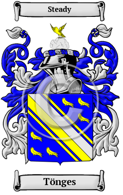 Tönges Family Crest/Coat of Arms