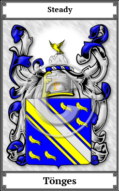 Tönges Family Crest Download (JPG)  Book Plated - 150 DPI
