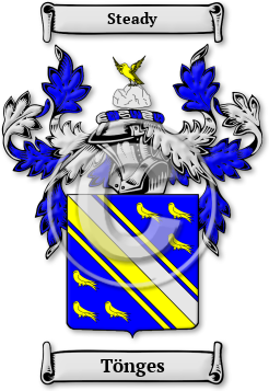 Tönges Family Crest Download (jpg) Legacy Series - 150 DPI