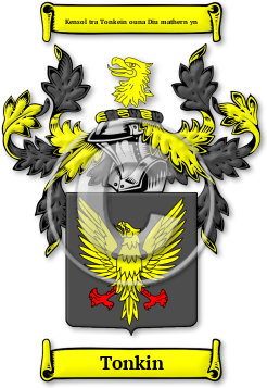 Tonkin Family Crest Download (jpg) Legacy Series - 150 DPI