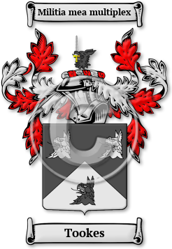 Tookes Family Crest Download (jpg) Legacy Series - 150 DPI