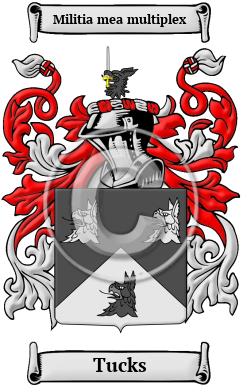 Tucks Family Crest/Coat of Arms