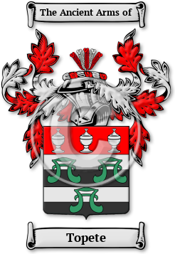 Topete Family Crest Download (jpg) Legacy Series - 150 DPI