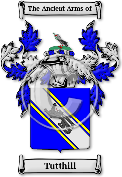 Tutthill Family Crest Download (jpg) Legacy Series - 150 DPI