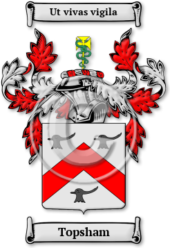 Topsham Family Crest Download (JPG) Legacy Series - 600 DPI