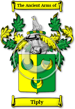 Tiply Family Crest Download (JPG) Legacy Series - 300 DPI