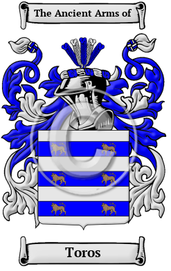 Toros Family Crest Download (JPG) Heritage Series - 600 DPI